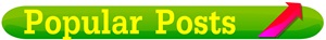 Popular Posts